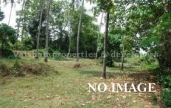 Residential Land